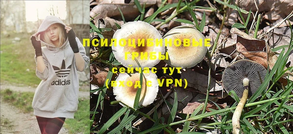 mix Зеленокумск