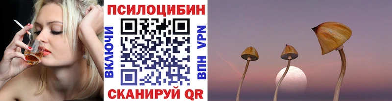 где можно купить наркотик даркнет какой сайт Псилоцибиновые грибы GOLDEN TEACHER Калач