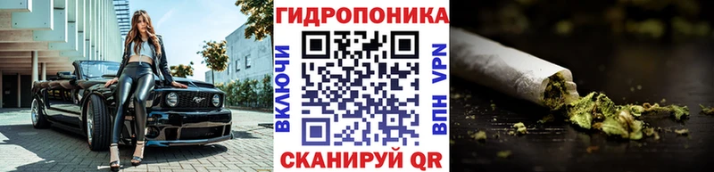 площадка как зайти  Калач  Бошки марихуана SATIVA & INDICA 